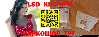 шишки Заволжье
