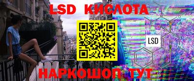 шишки Заволжье