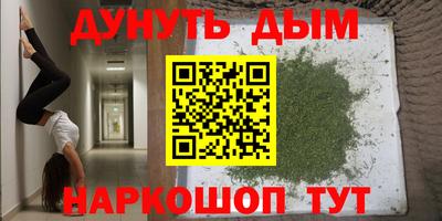 шишки Заволжье