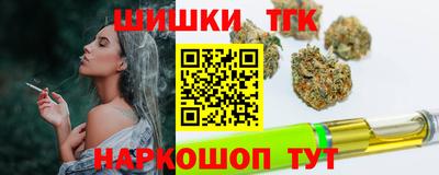 шишки Заволжье