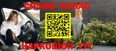 шишки Заволжье