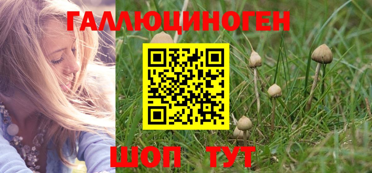 Псилоцибиновые грибы ЛСД  Псилоцибиновые грибы прущие грибы  Лянтор  Вход с VPN 